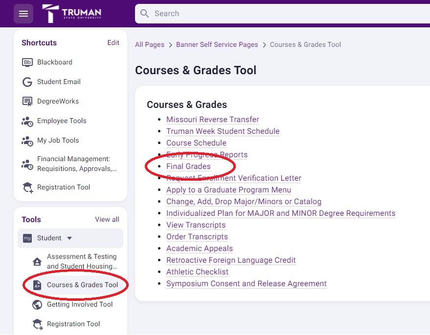 View grades in TruView